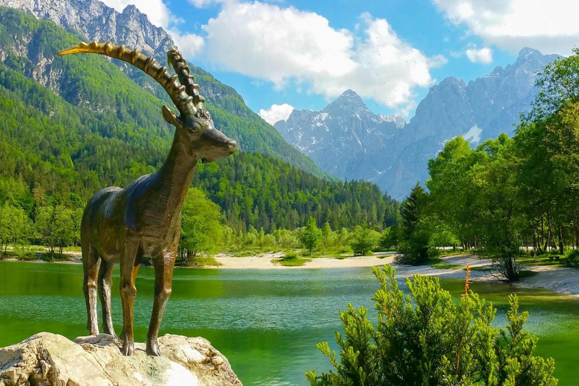 Alpine Retreat Gaja Kranjska Gora - Happy Rentals Bagian luar foto