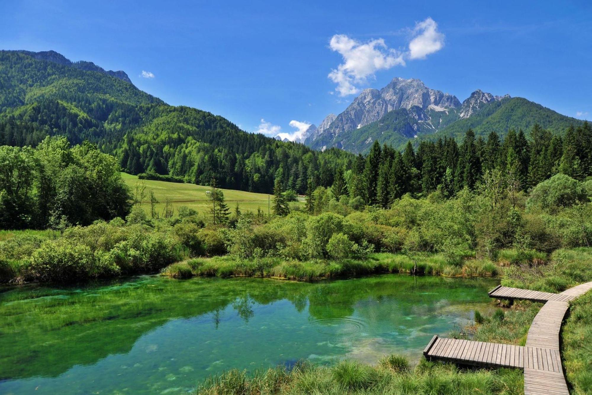 Alpine Retreat Gaja Kranjska Gora - Happy Rentals Bagian luar foto